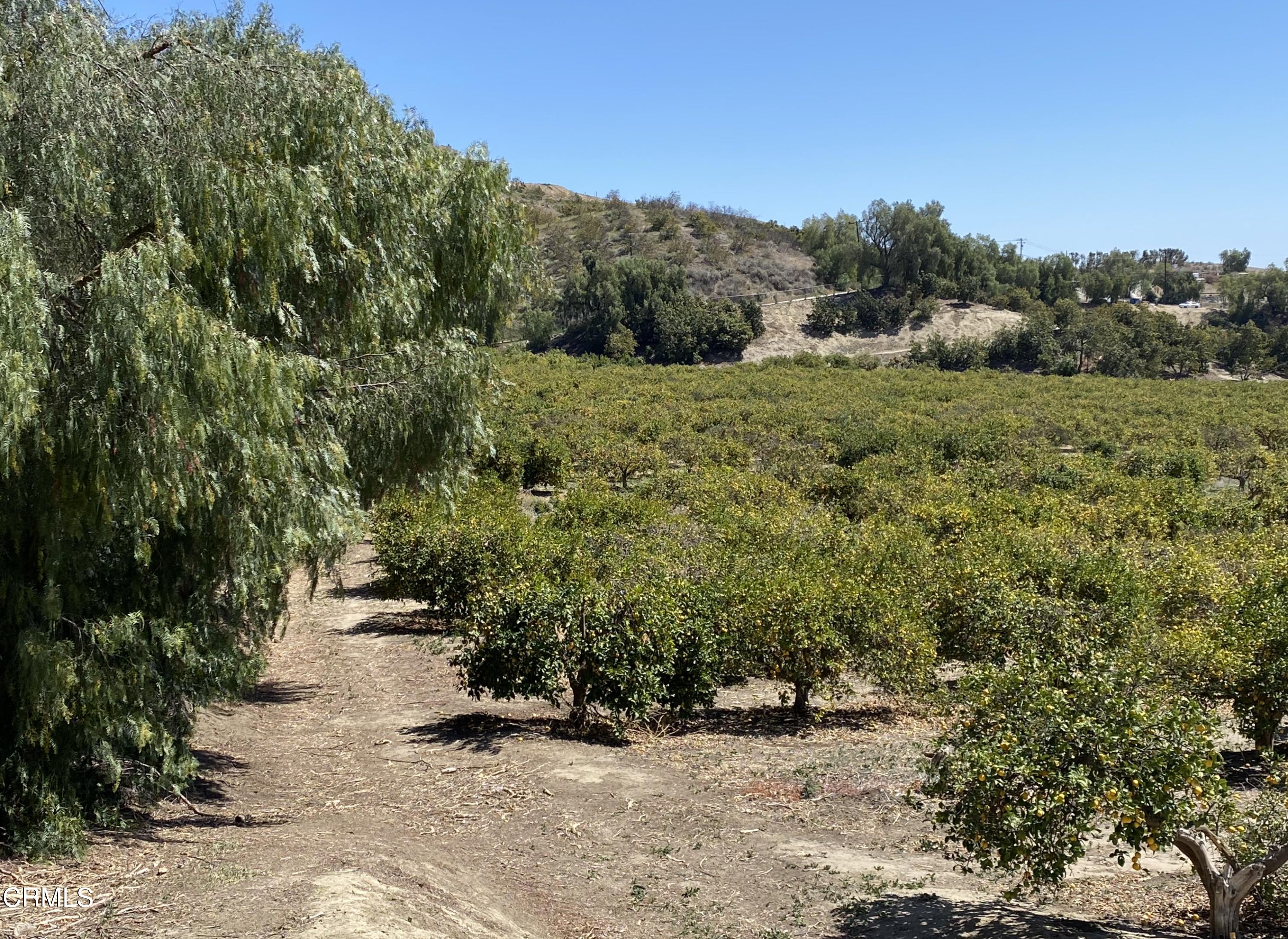 10165 Stockton Road Moorpark, CA 93021 - Photo 21 of 22 a view of a field with trees in the background