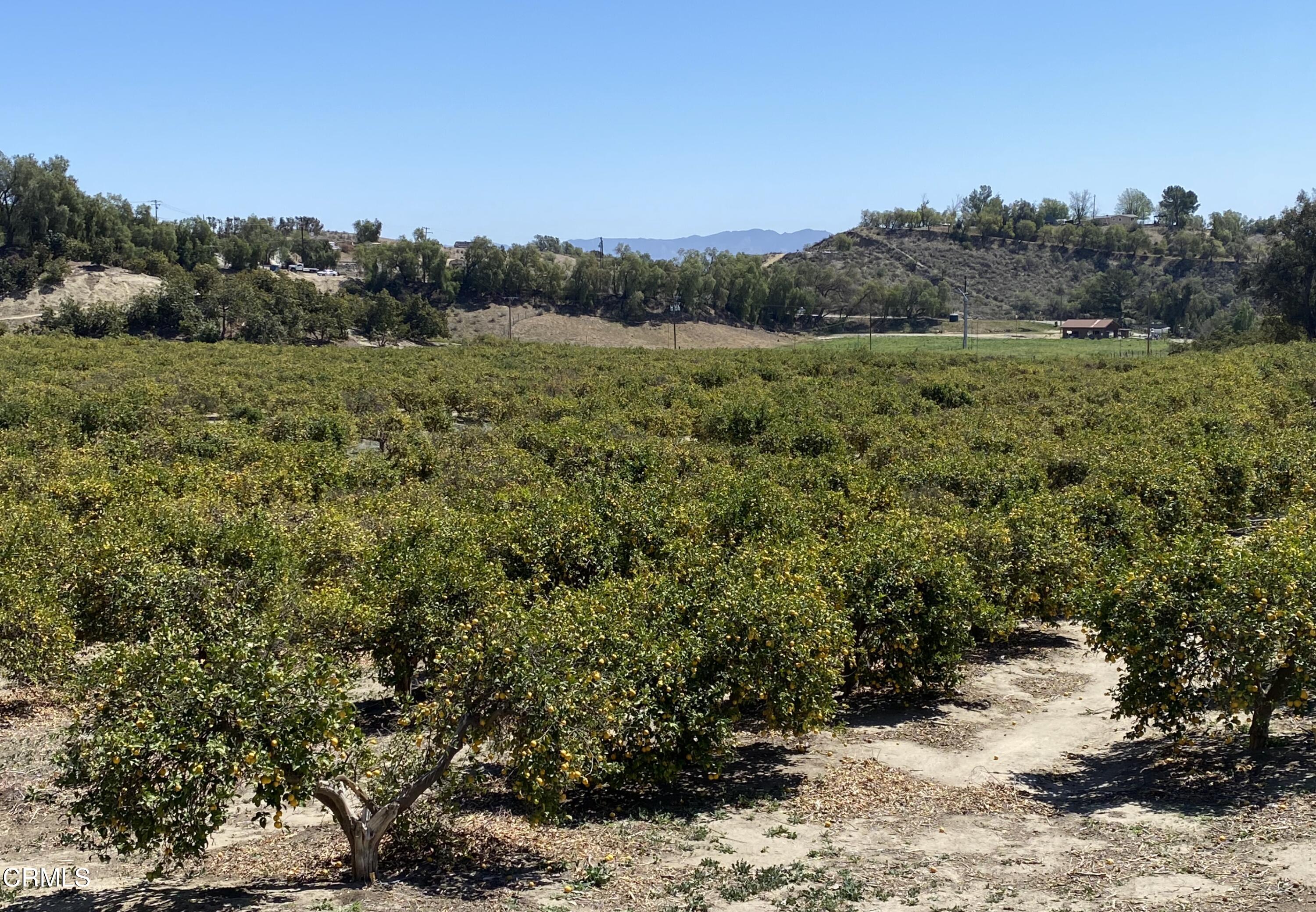 10165 Stockton Road Moorpark, CA 93021 - Photo 5 of 22 a view of a field with a tree in the background
