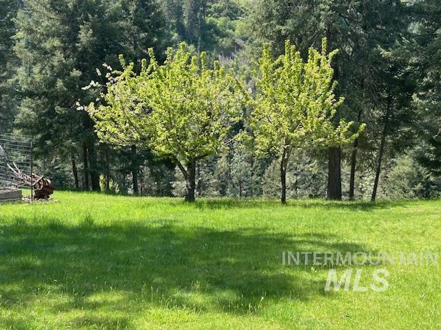 268 Long Bluff Road Kooskia, ID 83539 - Photo 13 of 18
