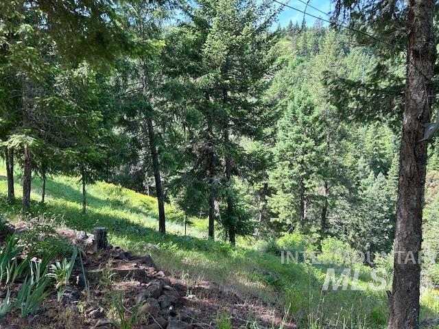 268 Long Bluff Road Kooskia, ID 83539 - Photo 14 of 18