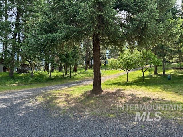 268 Long Bluff Road Kooskia, ID 83539 - Photo 2 of 18