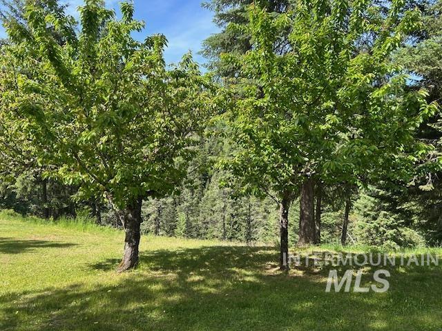 268 Long Bluff Road Kooskia, ID 83539 - Photo 9 of 18