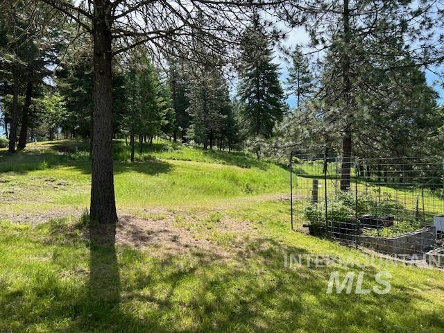 268 Long Bluff Road Kooskia, ID 83539 - Photo 10 of 18