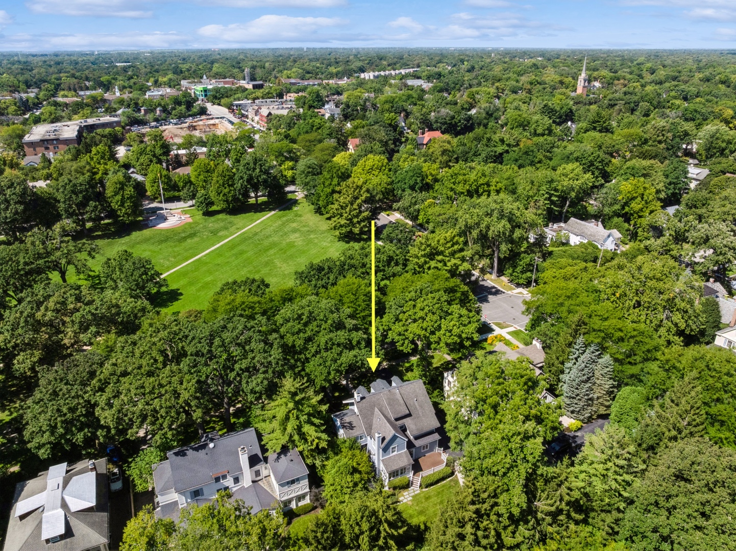 519 Cedar Street Winnetka, IL 60093 - Photo 36 of 36 a view of a lush green forest with a house