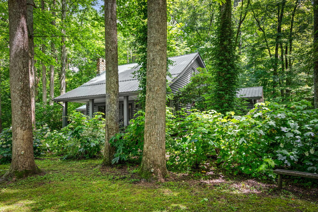 2977 Highway 2 Blue Ridge, GA 30513 - Photo 71 of 87 Gallery Image 71
