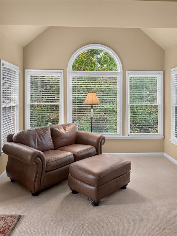 37 Teaberry Trail Dallas, GA 30132 - Photo 21 of 42