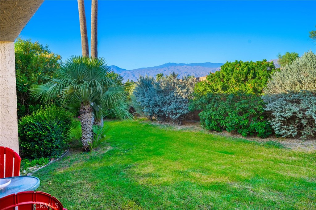 80071 Palm Cir Drive La Quinta, CA 92253 - Photo 19 of 40 a backyard of a house with lots of green space and plants