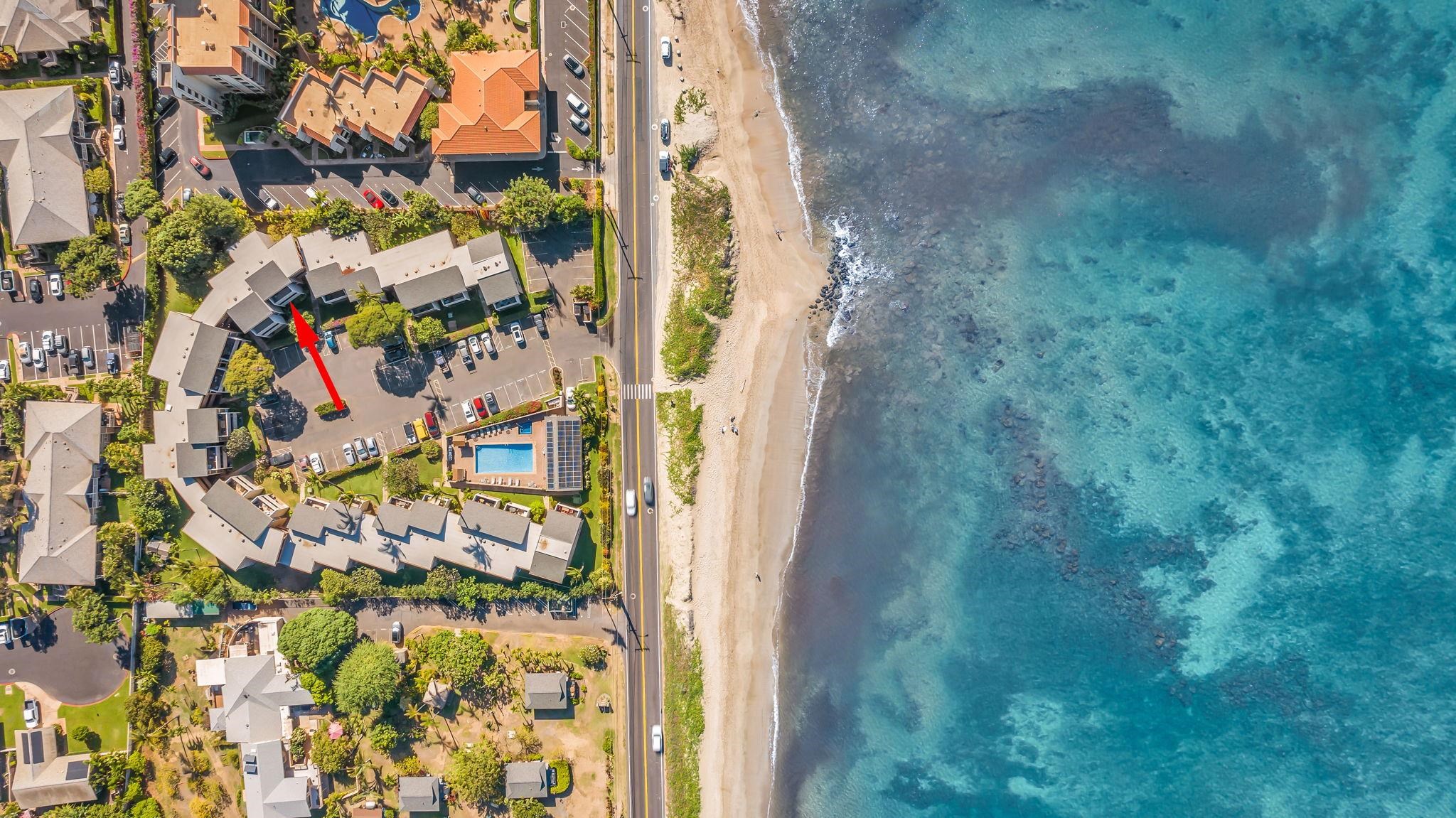 483 South Kihei Road, Unit 215 Kihei, HI 96753 - Photo 6 of 49 close up of a small yard