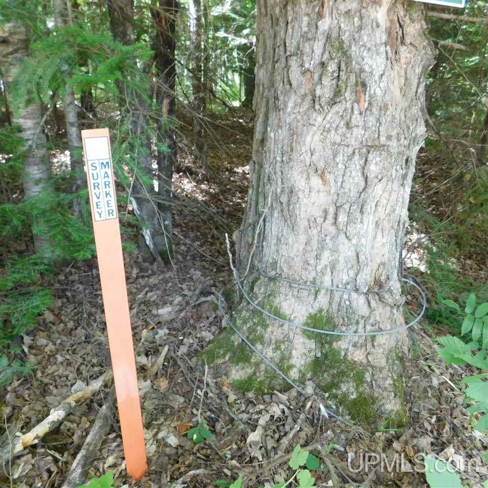 Tbd Off Solberg Lake Road Felch, MI 49831 - Photo 3 of 9