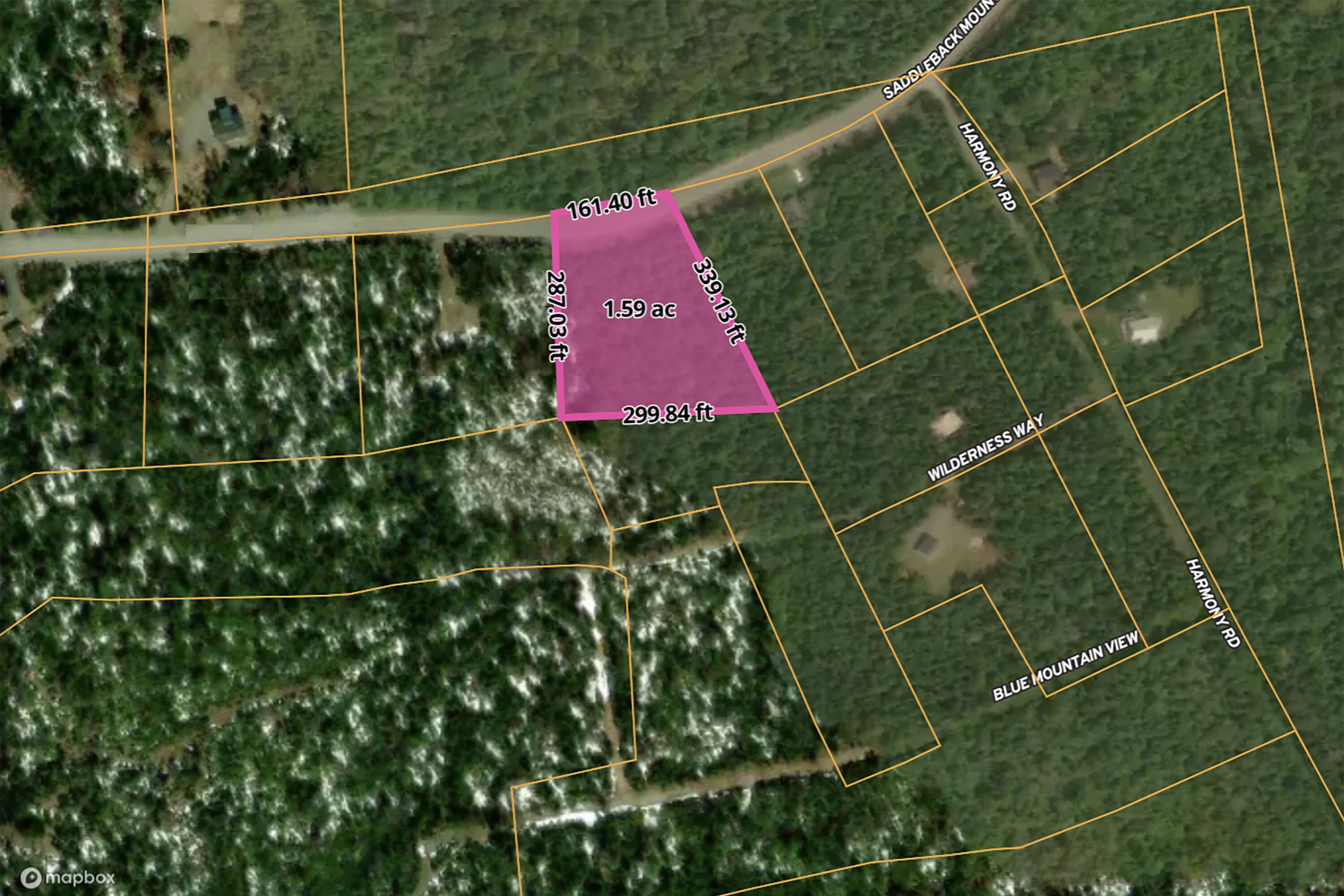 101 Saddleback Mountain Road Dallas Plt, ME 04970 - Photo 2 of 7
