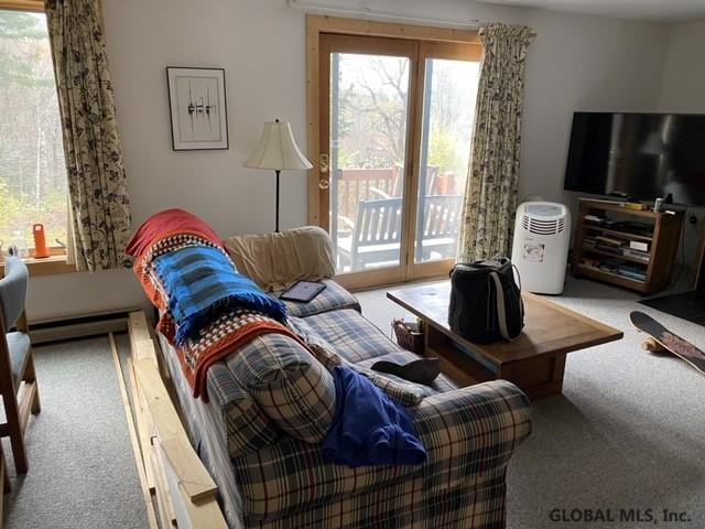50 Freebern Road Johnsburg, NY 12853 - Photo 1 of 1 Photo 1
