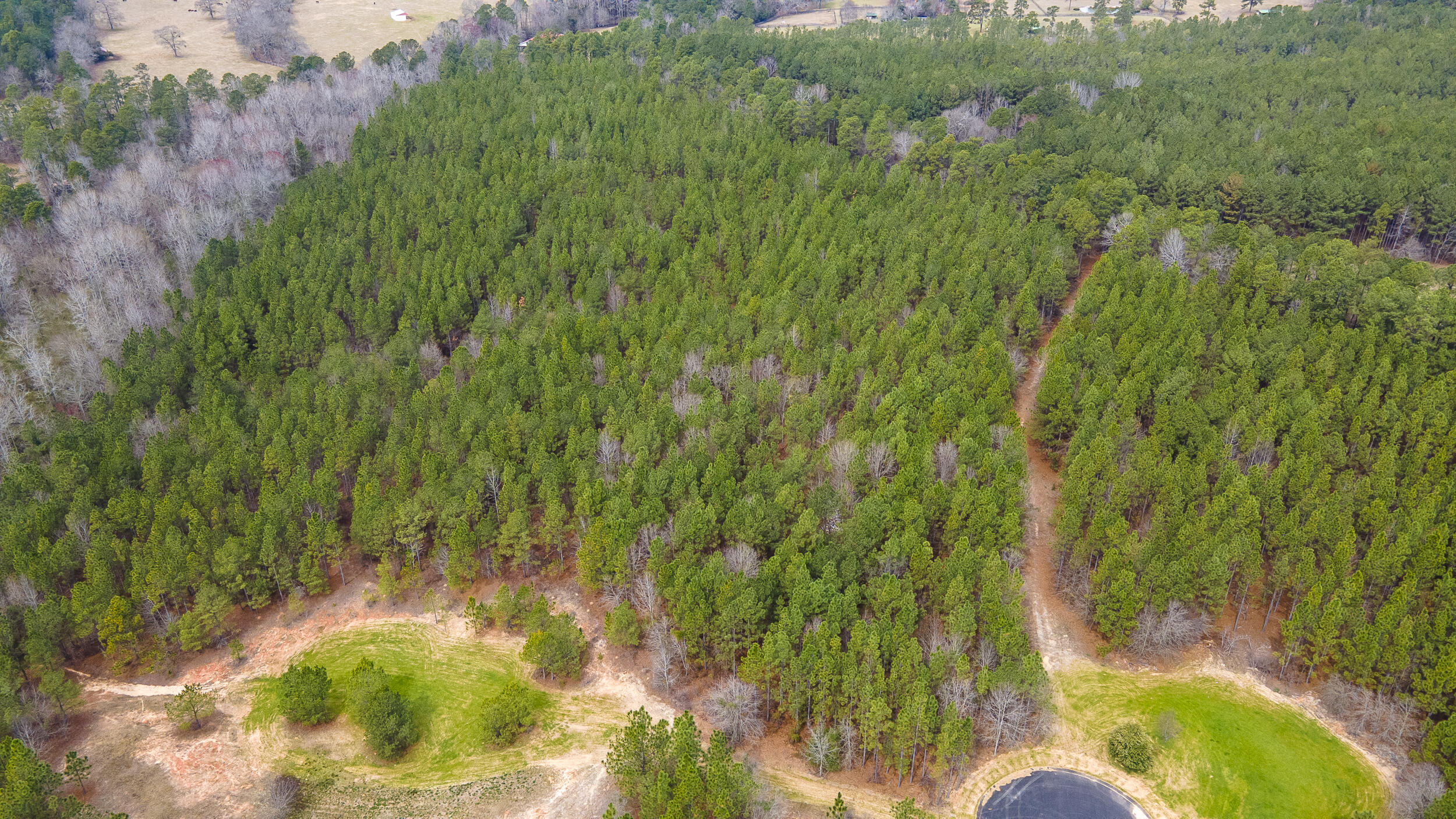 Lot 4-1 Simonside Court Aiken, SC 29803 - Photo 17 of 31