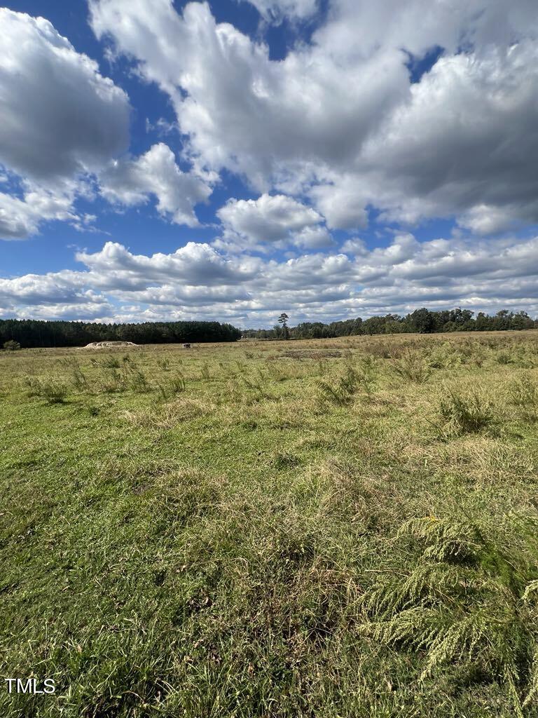 1925 Bunnlevel Erwin Road Bunnlevel, NC 28323 - Photo 4 of 12 a view of a big yard of the city and mountain