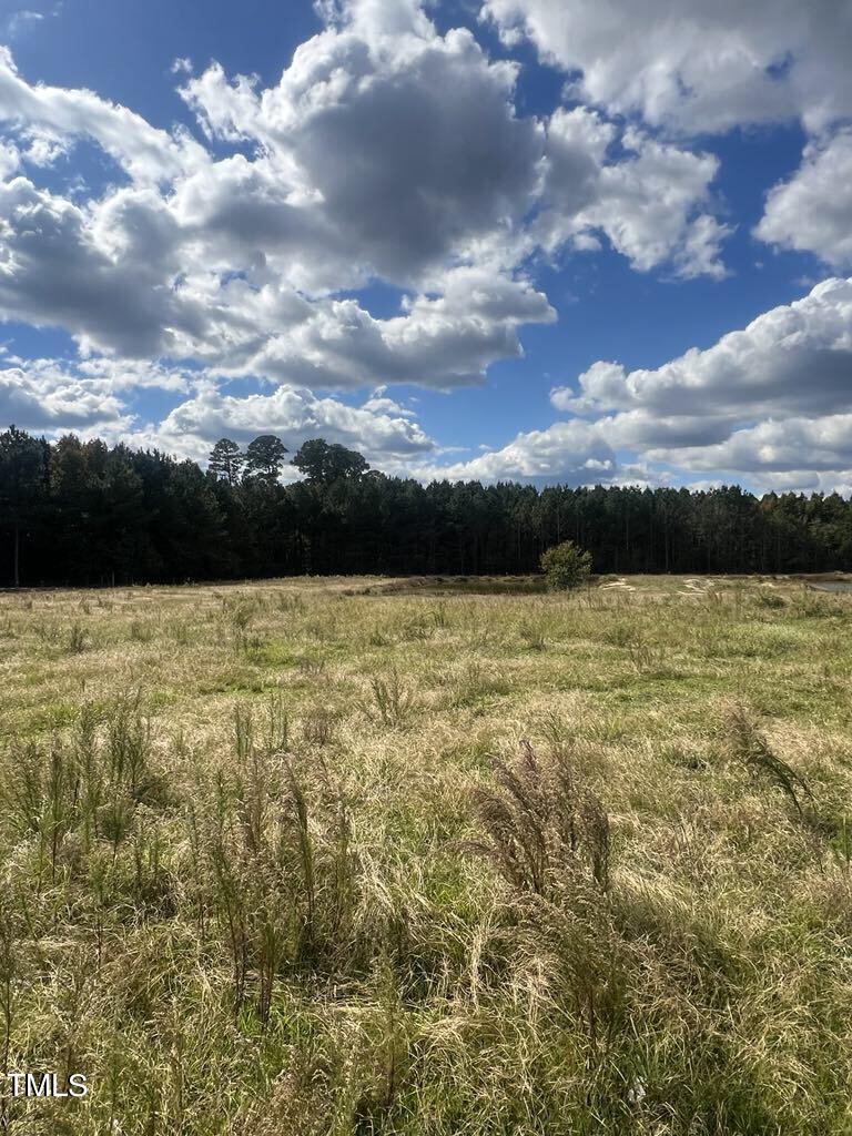 1925 Bunnlevel Erwin Road Bunnlevel, NC 28323 - Photo 6 of 12 a view of a lake view