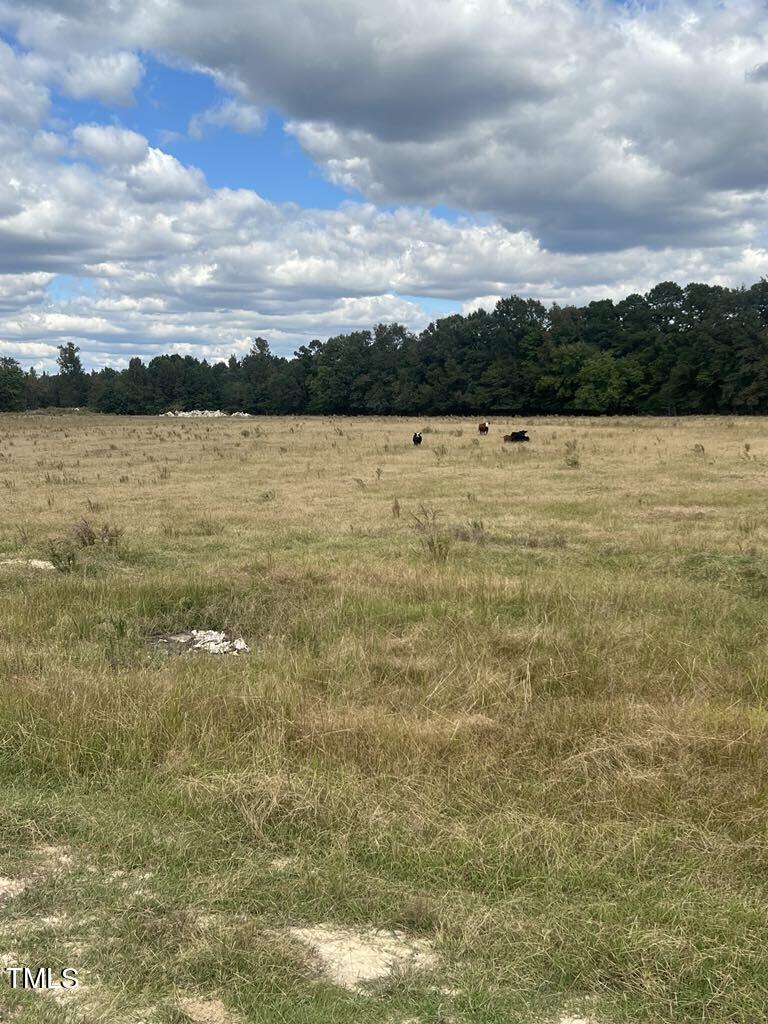 1925 Bunnlevel Erwin Road Bunnlevel, NC 28323 - Photo 8 of 12 a view of a lake view