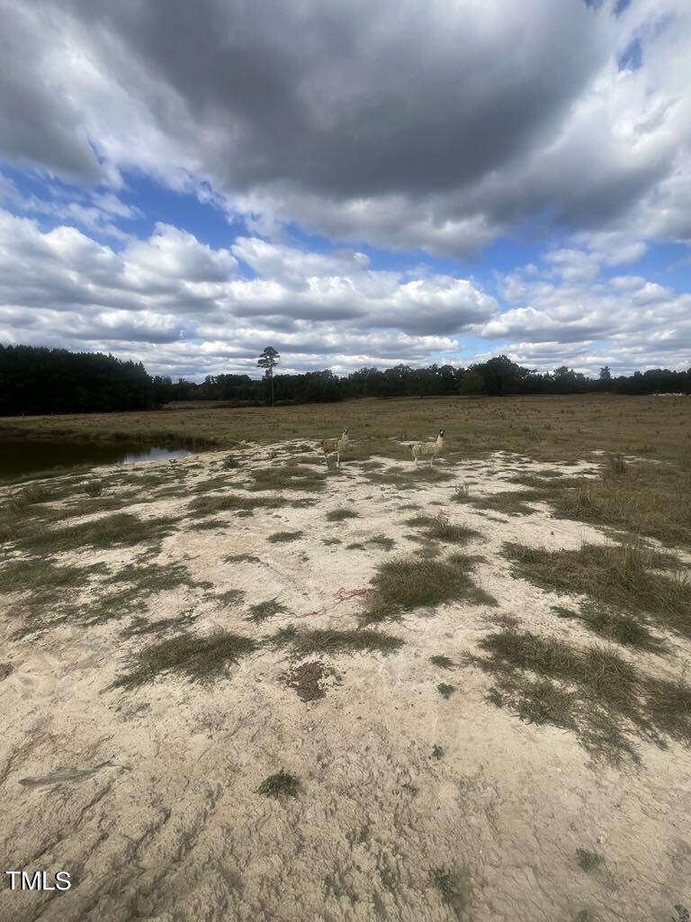 1925 Bunnlevel Erwin Road Bunnlevel, NC 28323 - Photo 9 of 12 a view of an ocean