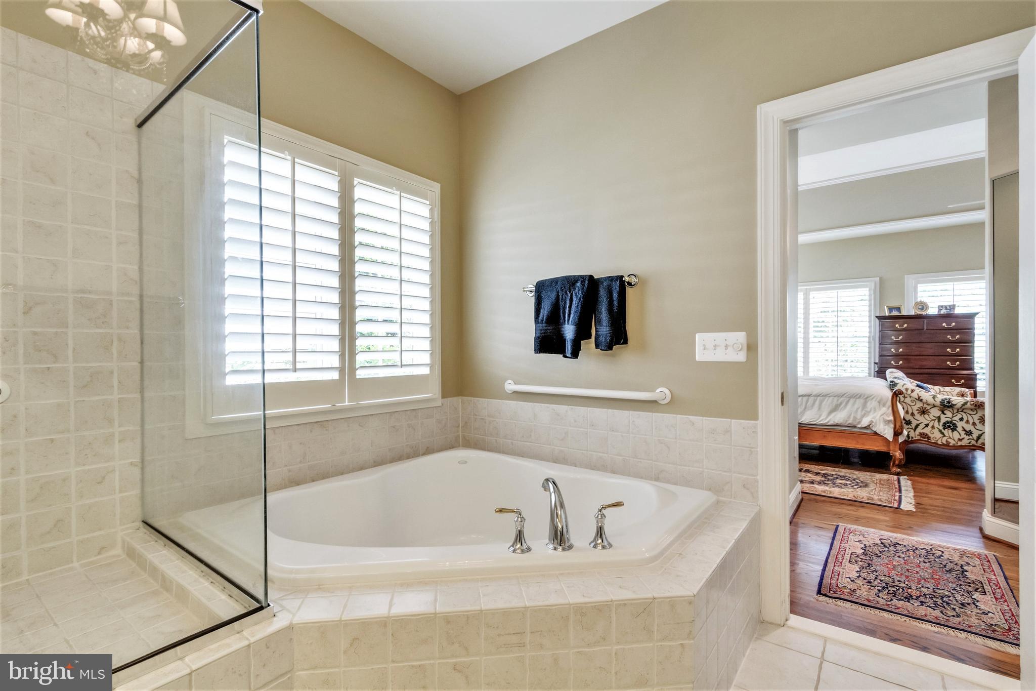 15679 Spyglass Hill Loop Gainesville, VA 20155 - Photo 36 of 86 Deep Soaking Tub in Owner's Bath