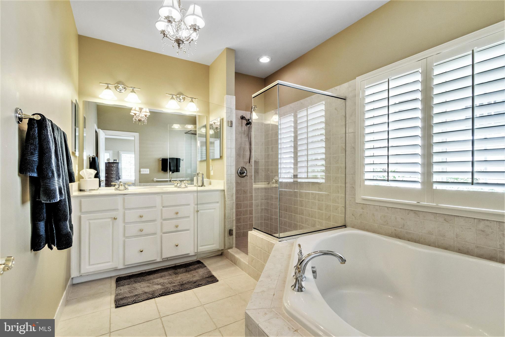 15679 Spyglass Hill Loop Gainesville, VA 20155 - Photo 37 of 86 Tiled Shower & Private Water Closet