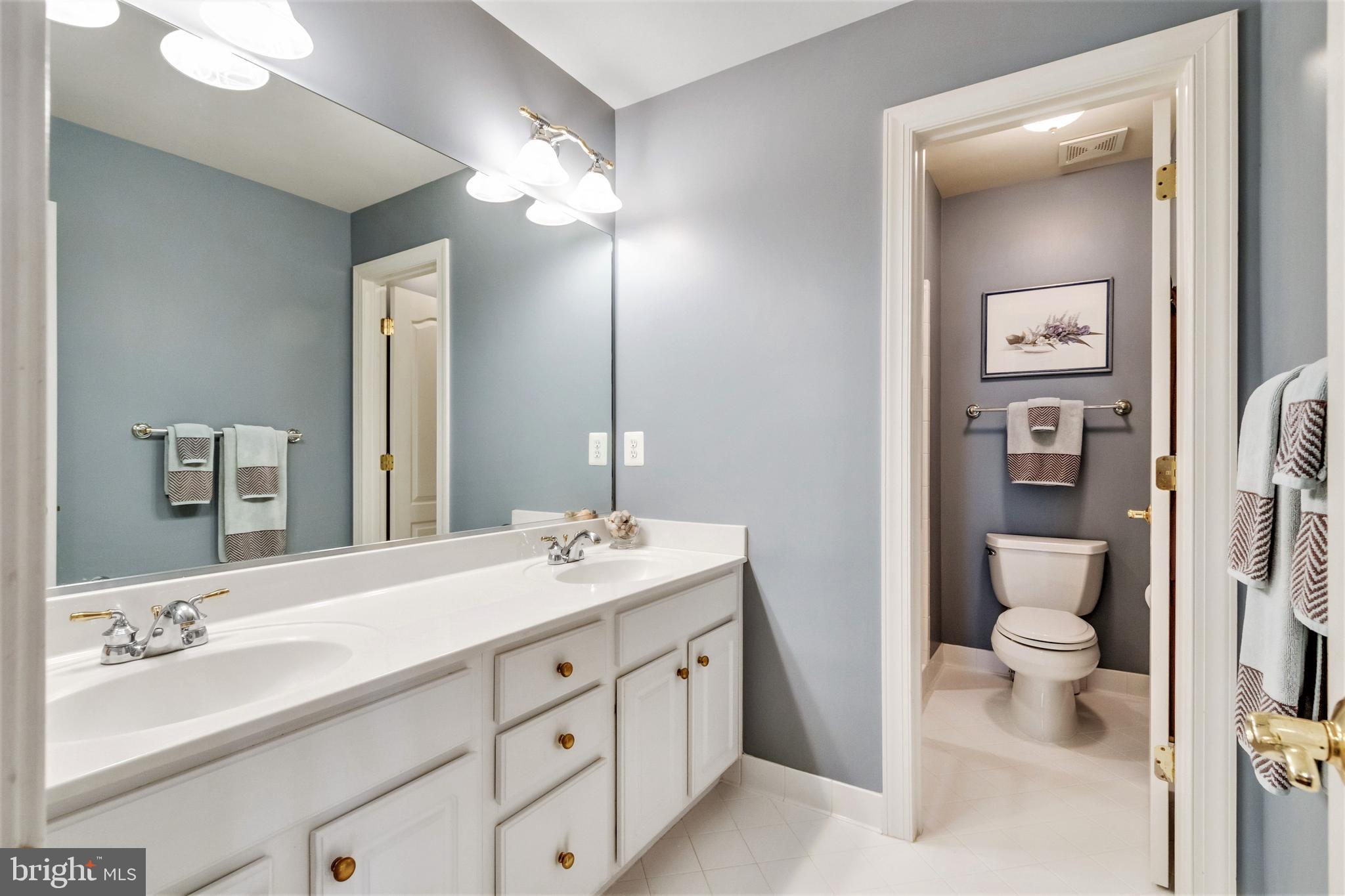 15679 Spyglass Hill Loop Gainesville, VA 20155 - Photo 50 of 86 Shared Full Bath in Hallway