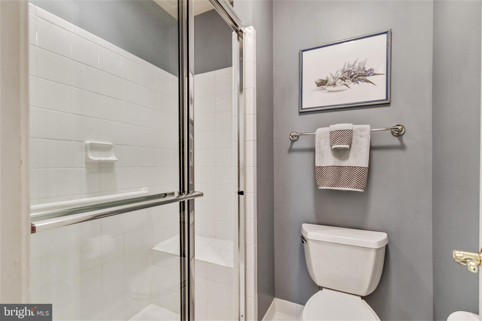 15679 Spyglass Hill Loop Gainesville, VA 20155 - Photo 51 of 86 Private Water Closet Area with Tiled Tub