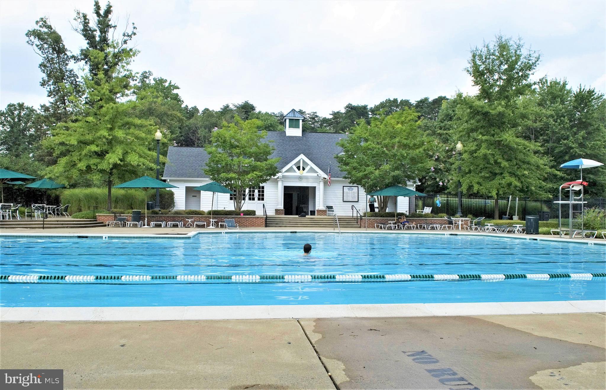 15679 Spyglass Hill Loop Gainesville, VA 20155 - Photo 81 of 86 Community Swimming Pool