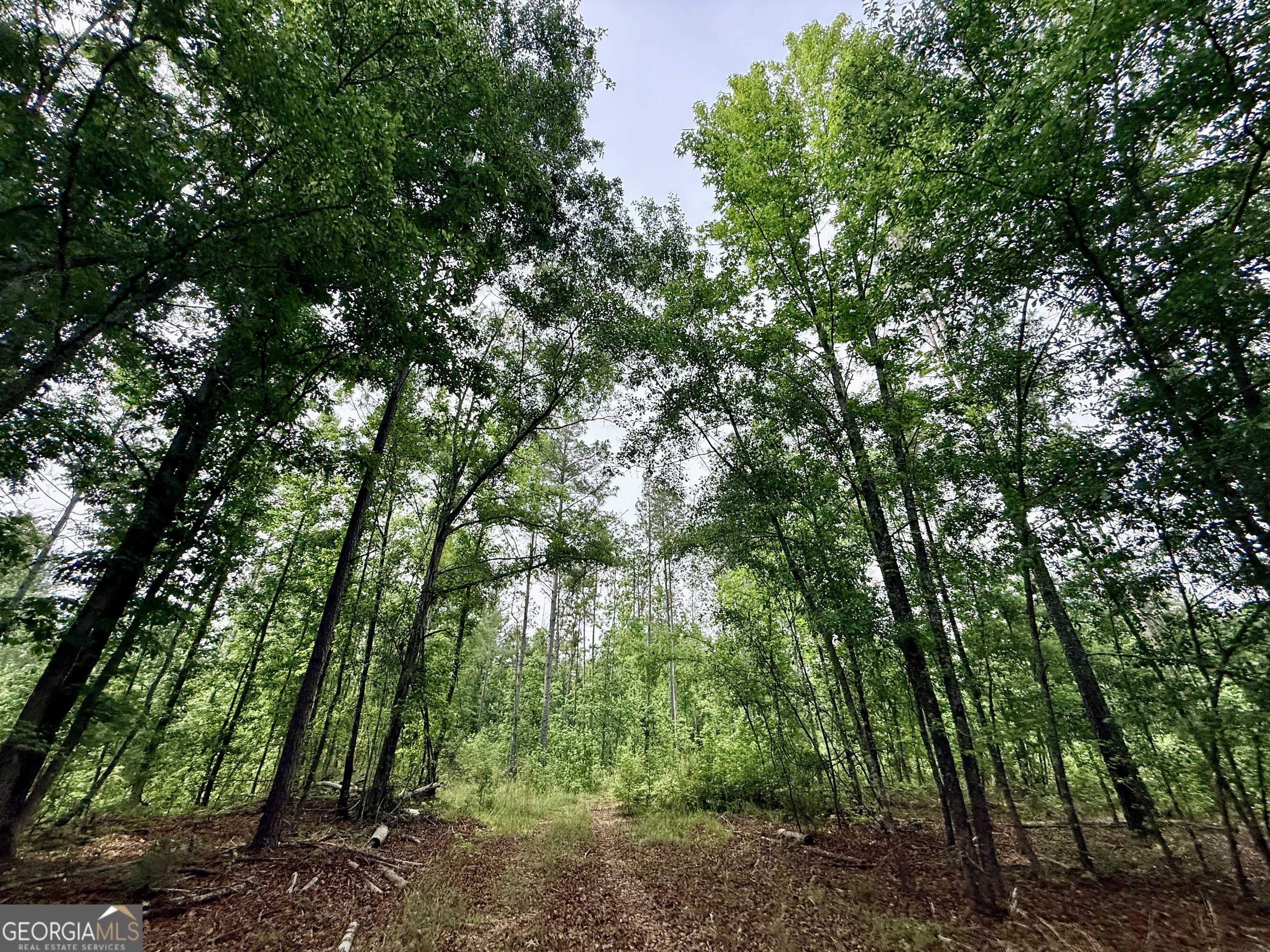 715 Fulsome Creek Road Sparta, GA 31087 - Photo 86 of 117