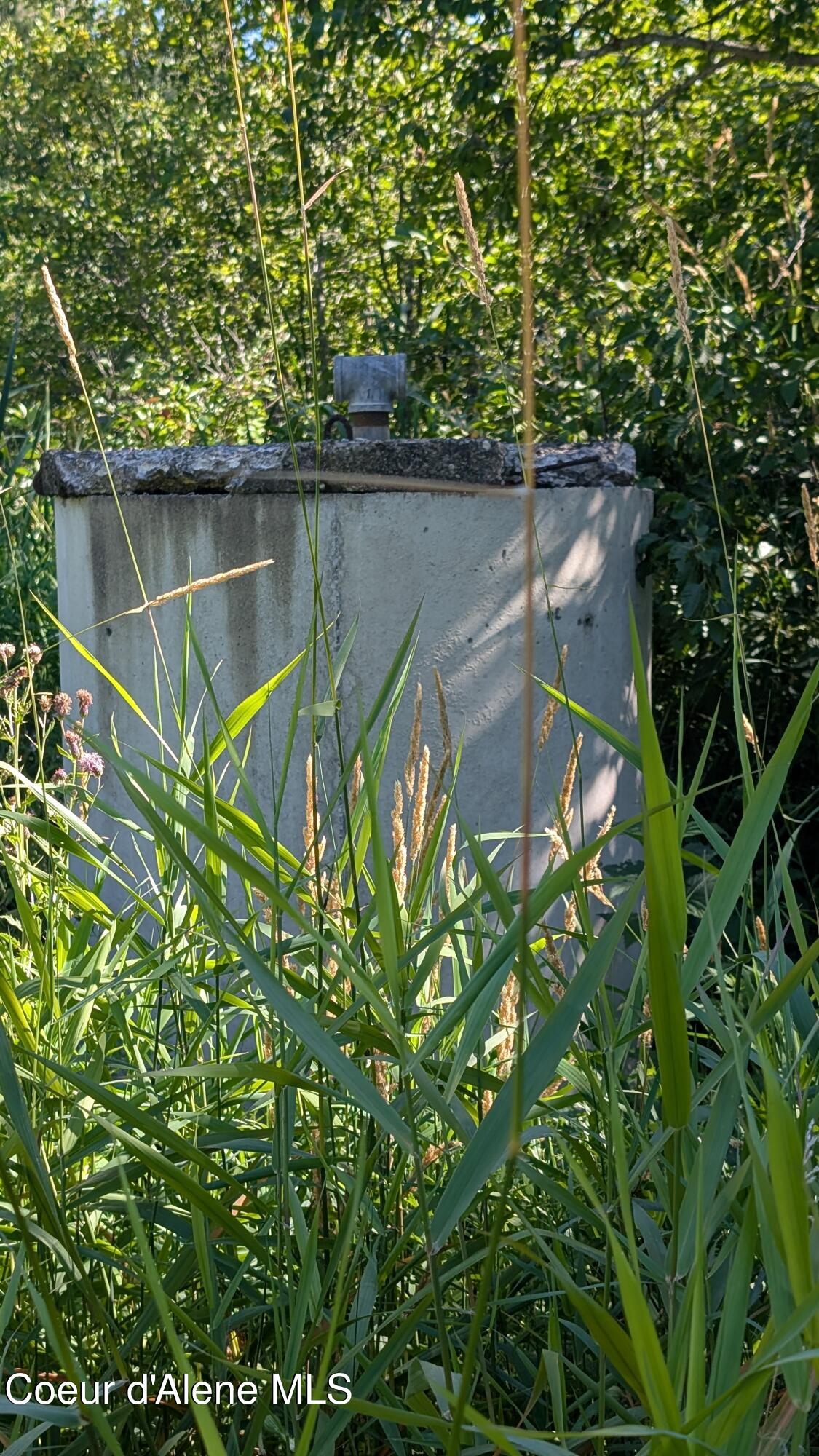 2 Deep Creak Loop Road Bonners Ferry, ID 83805 - Photo 14 of 15 Deep Creek Loop Tract 2 pic 19