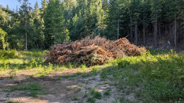 $495,000 | 2 Deep Creak Loop Road, Bonners Ferry, ID 83805