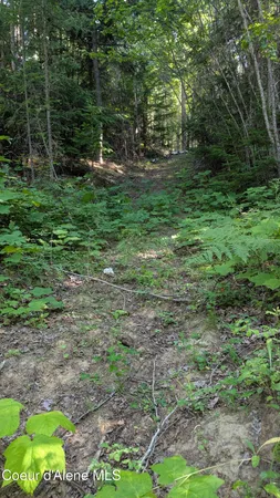 $495,000 | 2 Deep Creak Loop Road, Bonners Ferry, ID 83805