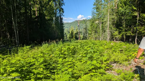 $495,000 | 2 Deep Creak Loop Road, Bonners Ferry, ID 83805