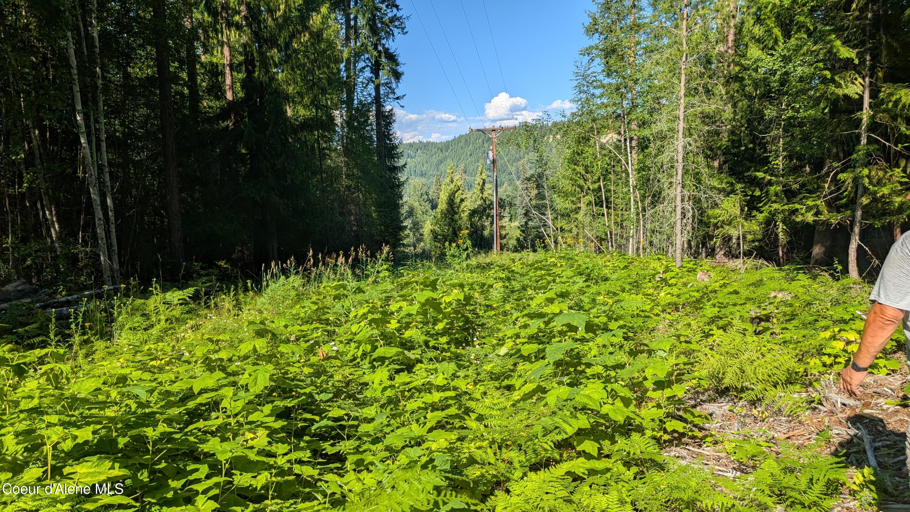 2 Deep Creak Loop Road Bonners Ferry, ID 83805 - Photo 9 of 15 Deep Creek Loop Tract 2 pic 8