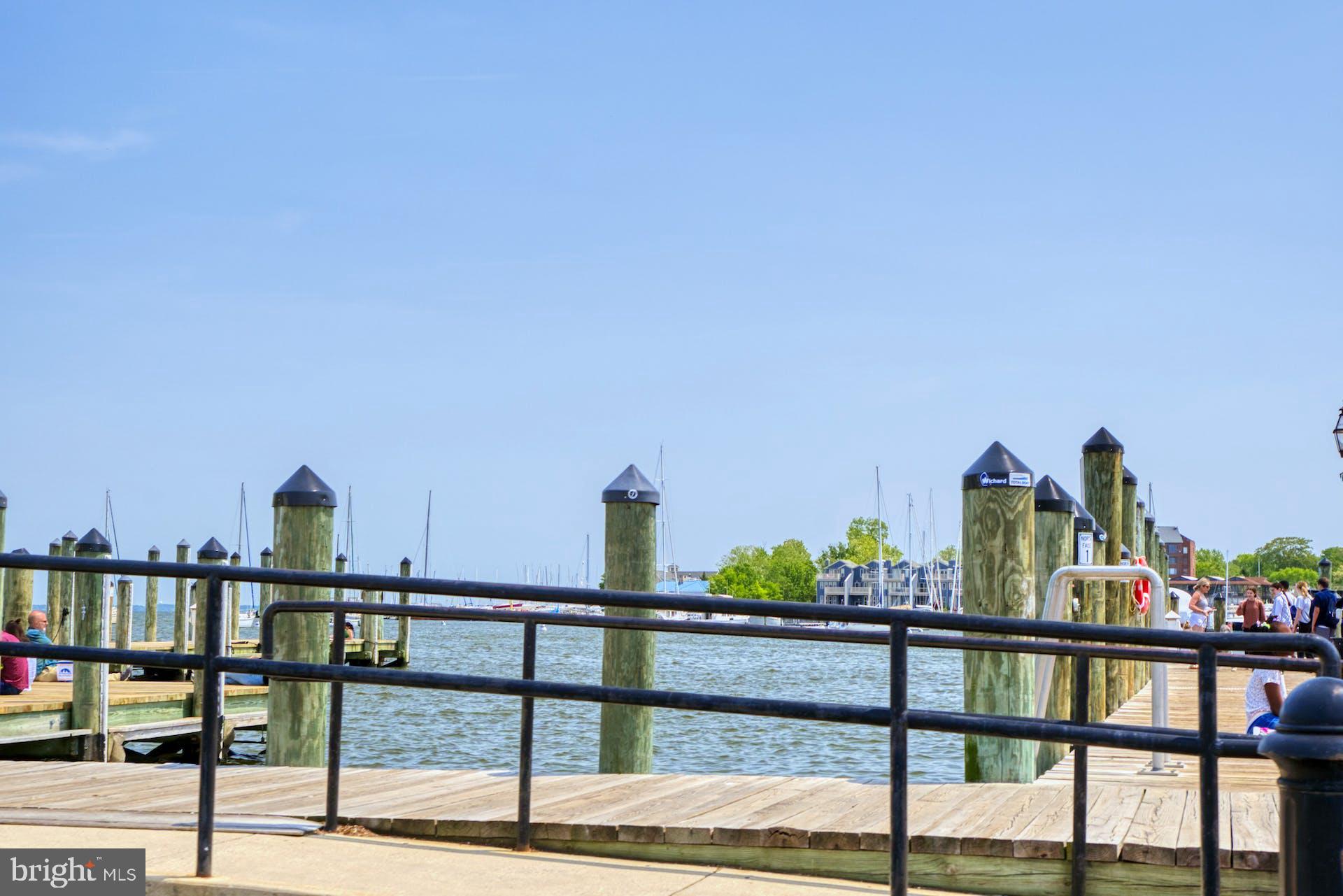 209 Norwood Road Annapolis, MD 21401 - Photo 79 of 86