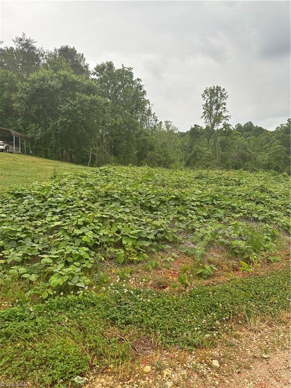 Lot 27 November Ln Mt  