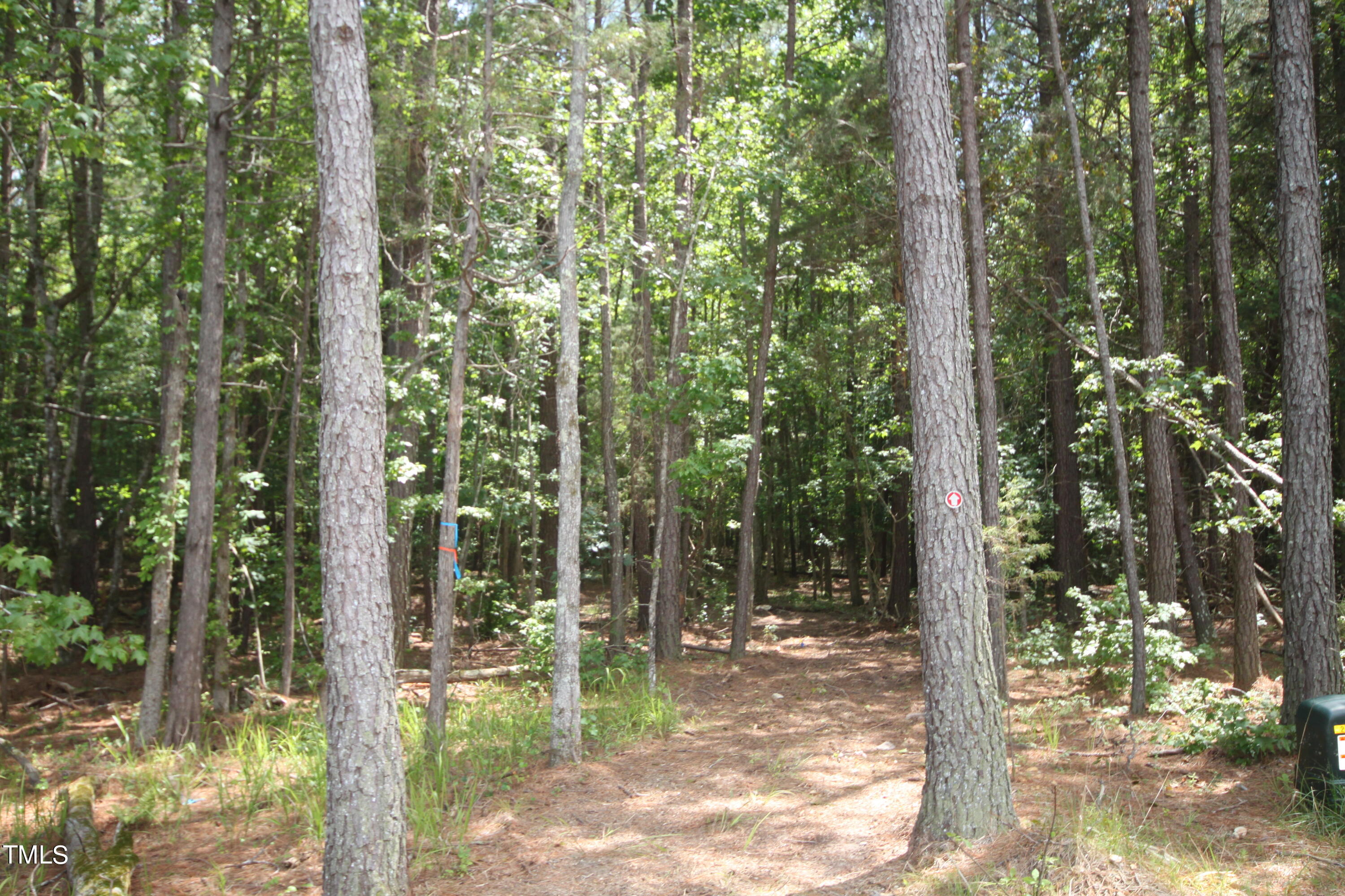 Lot 8 Array Drive Hillsborough, NC 27278 - Photo 11 of 12 a view of a forest with trees