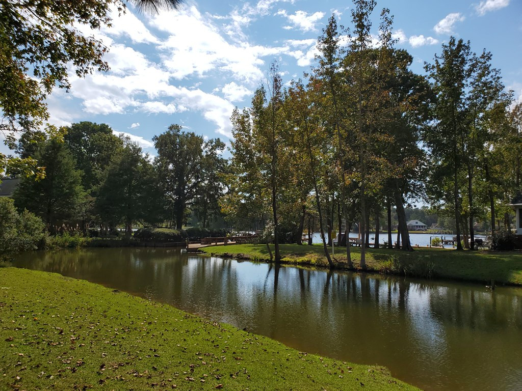 2 Ridge Lake Drive, Unit LOT 29 Manning, SC 29102 - Photo 11 of 25 Gallery Image 11