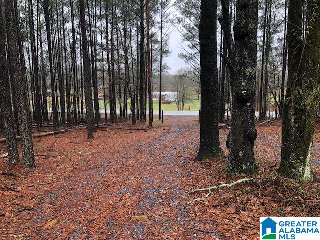 0 Renfroe Road, Unit 129 Alpine, AL 35014 - Photo 23 of 25 Gallery Image 23