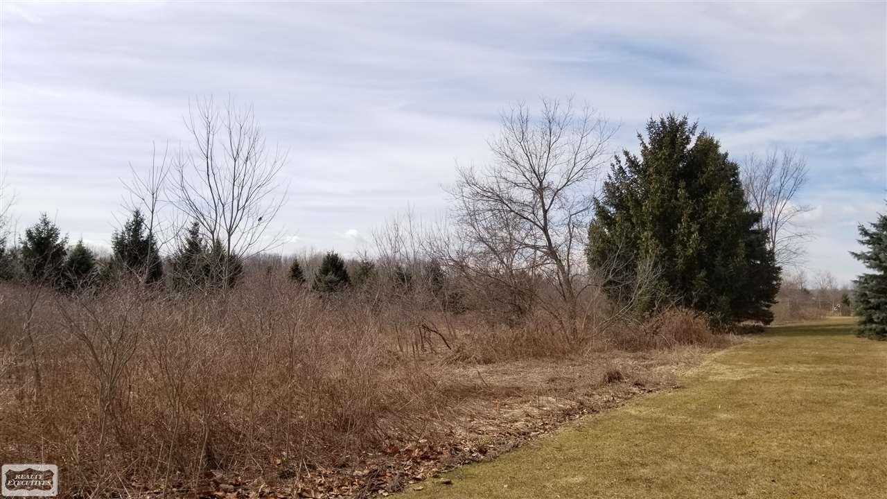 60875 Bates Road New Haven, MI 48048 - Photo 2 of 4