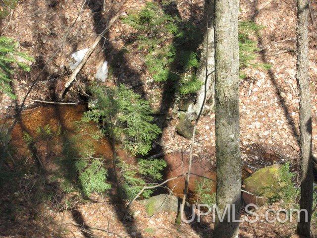 Tbd Golf Course Road Calumet, MI 49913 - Photo 14 of 21