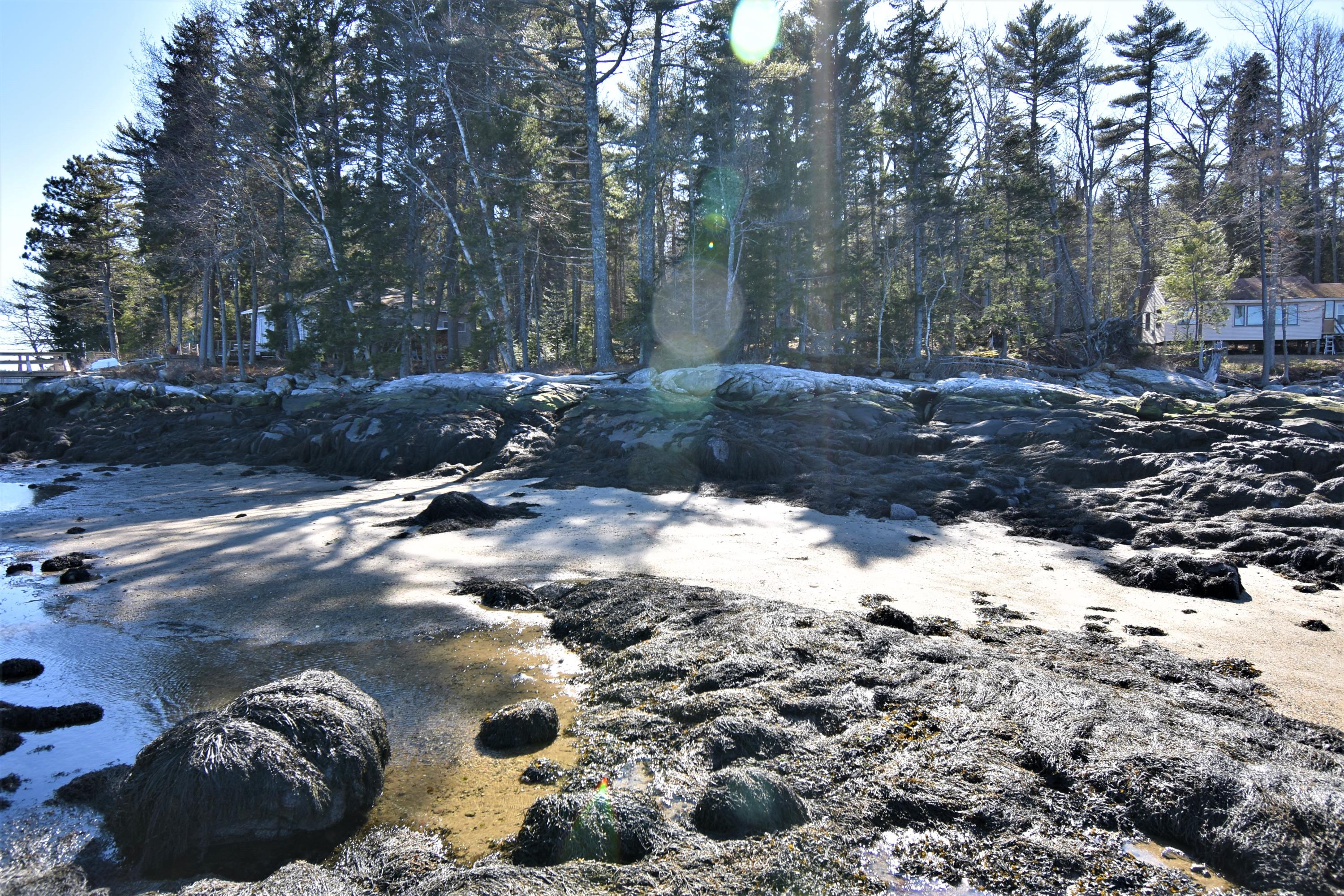 0 Harriman's Point Road Westport Island, ME 04578 - Photo 14 of 23 DSC_3948