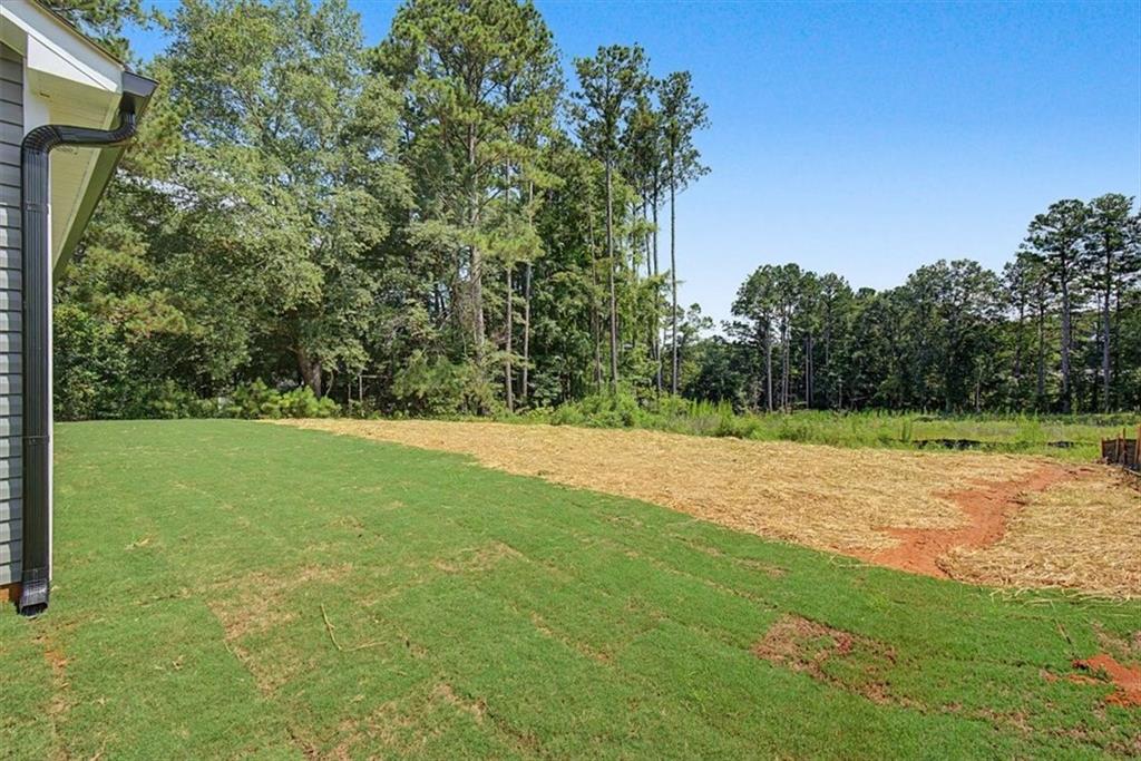193 Cole Lake Road Dallas, GA 30157 - Photo 37 of 47 Gallery Image 37