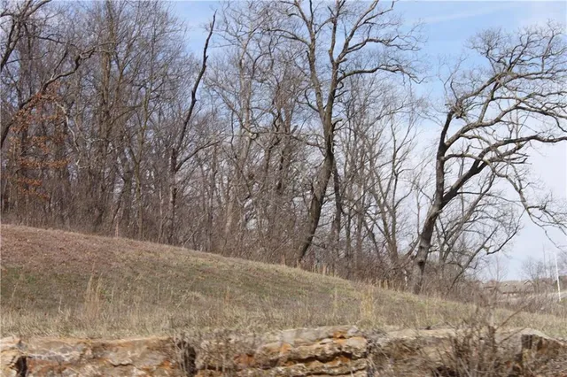 $90,000 | 9900 North Cypress Avenue, Kansas City, MO 64156