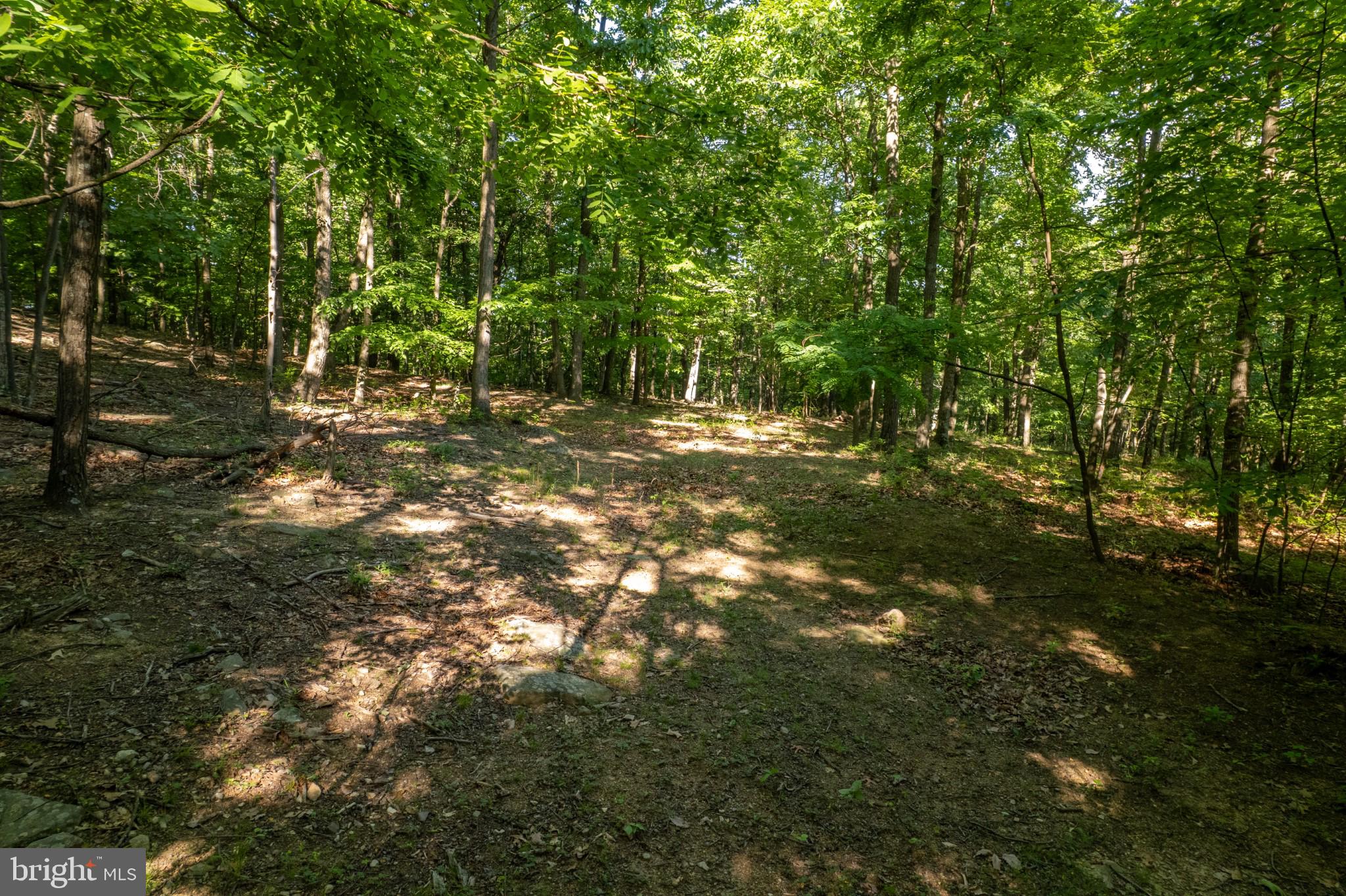 0 Apple Way St. Thomas, PA 17252 - Photo 19 of 32