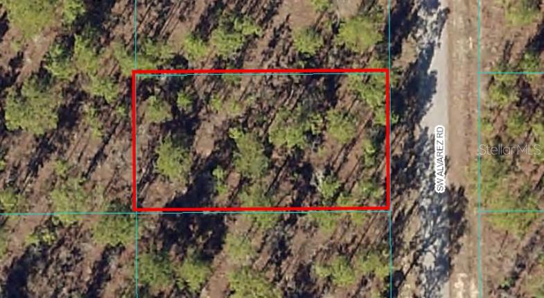 13 Southwest Alvarez Road Dunnellon, FL 34431 - Photo 1 of 1 Gallery Image 1