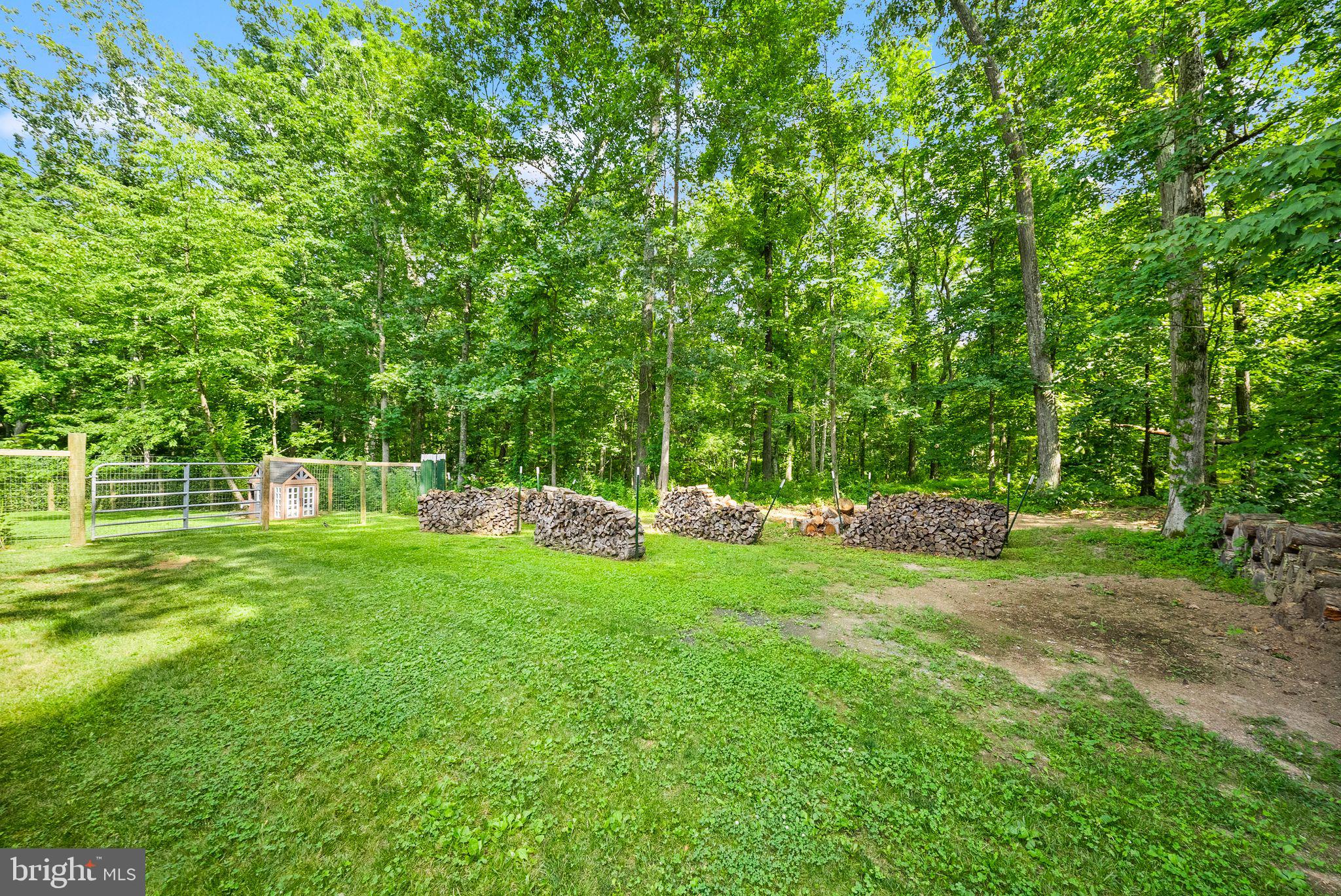 4020 Millwood Road Boyce, VA 22620 - Photo 109 of 132 Abundance of firewood on the property.