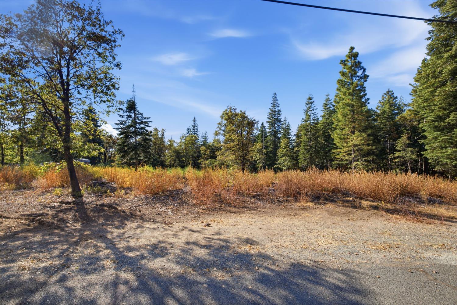 39445 Kearsarge Mill Road Alta, CA 95701 - Photo 3 of 19 Gallery Image 3