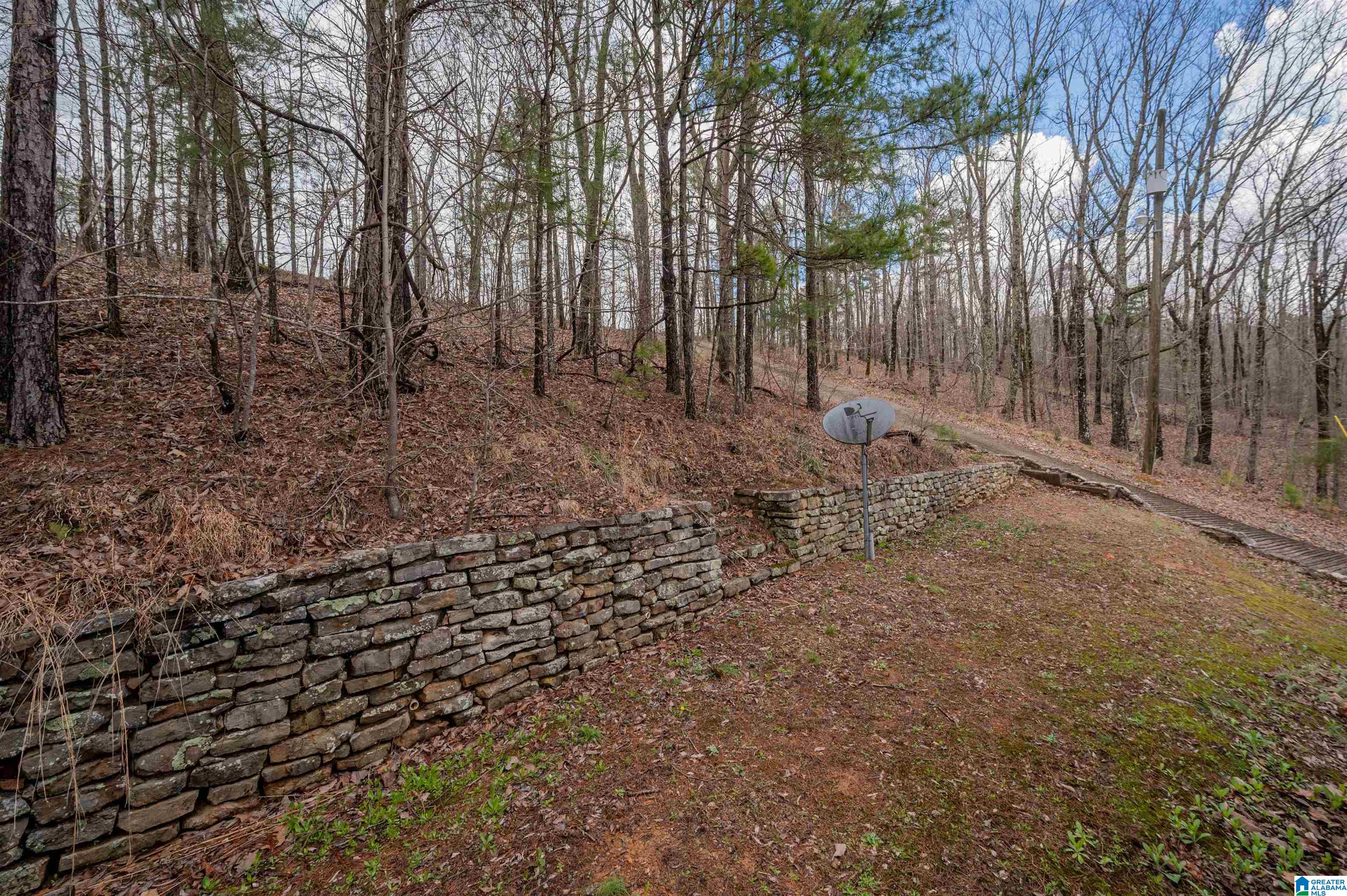 4076 Co Highway 24 Springville, AL 35146 - Photo 42 of 50