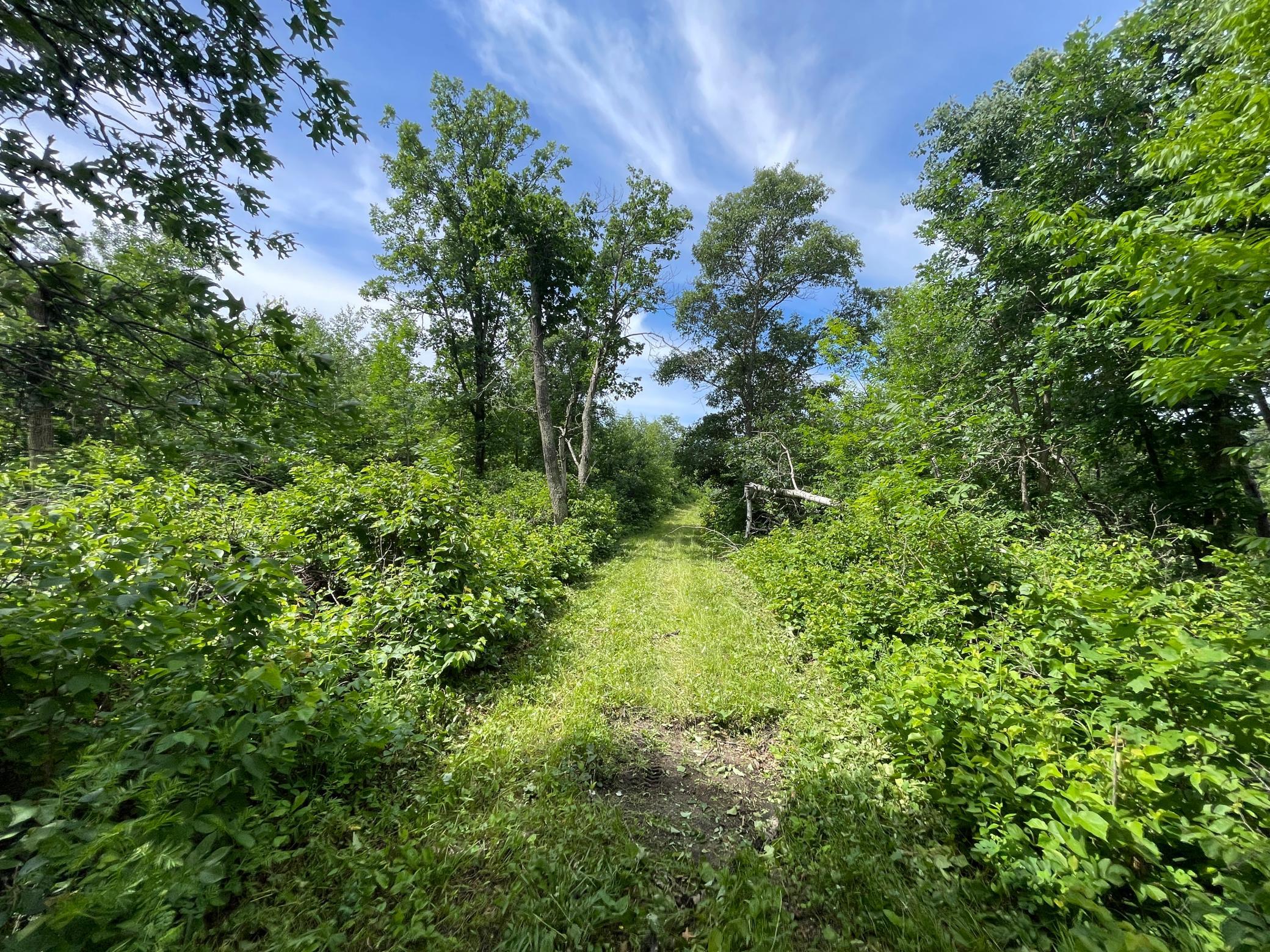 Tbd Boot Lake Road Southwest Bemidji, MN 56601 - Photo 21 of 55