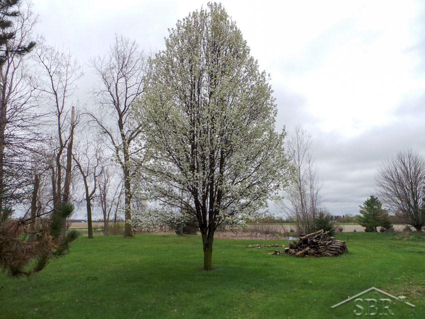 8435 North State Road Chesaning, MI 48616 - Photo 5 of 20 31289229-4.JPG