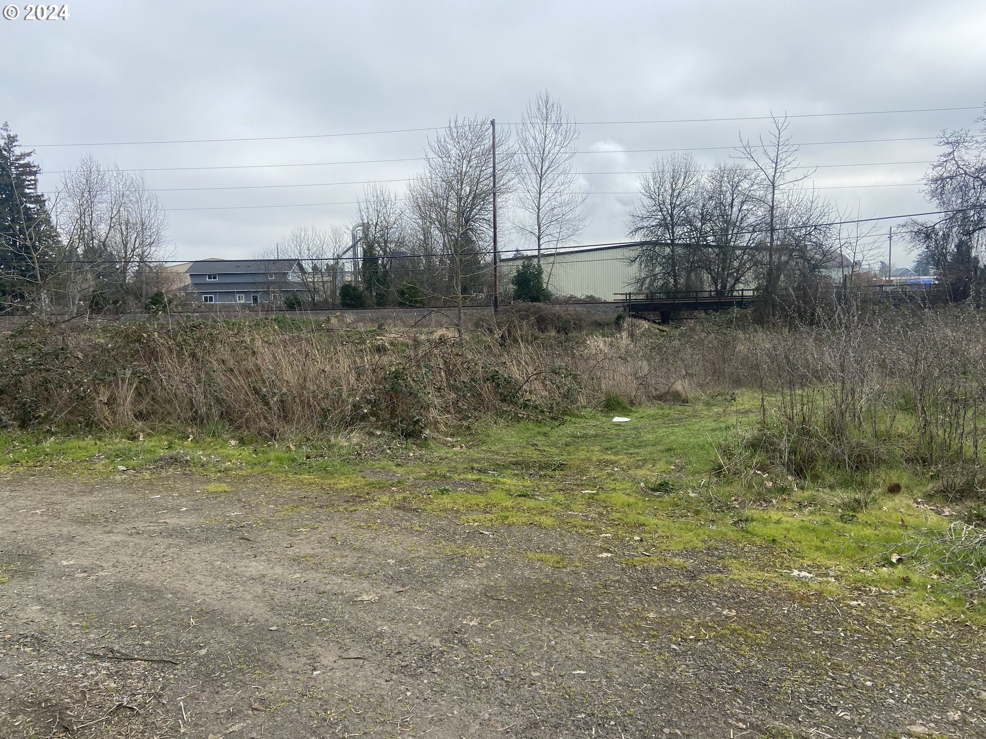 1480 Ivy Street Junction City, OR 97448 - Photo 3 of 9 a view of a yard