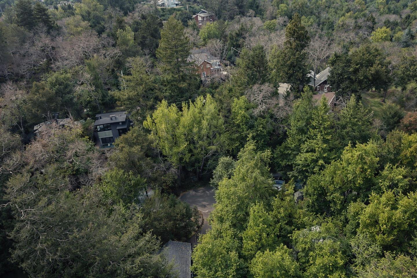 1050 Los Trancos Road Portola Valley, CA 94028 - Photo 7 of 10